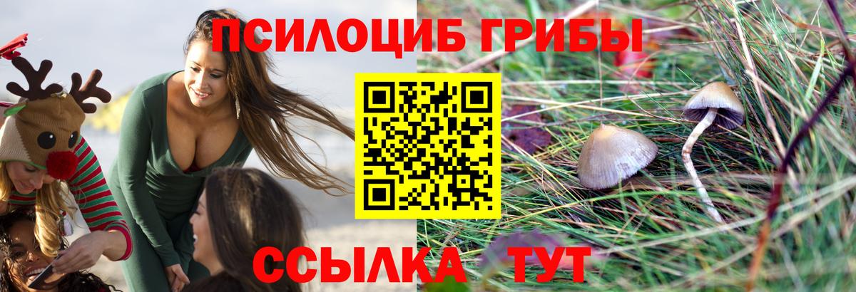 Псилоцибиновые грибы Magic Shrooms Армавир