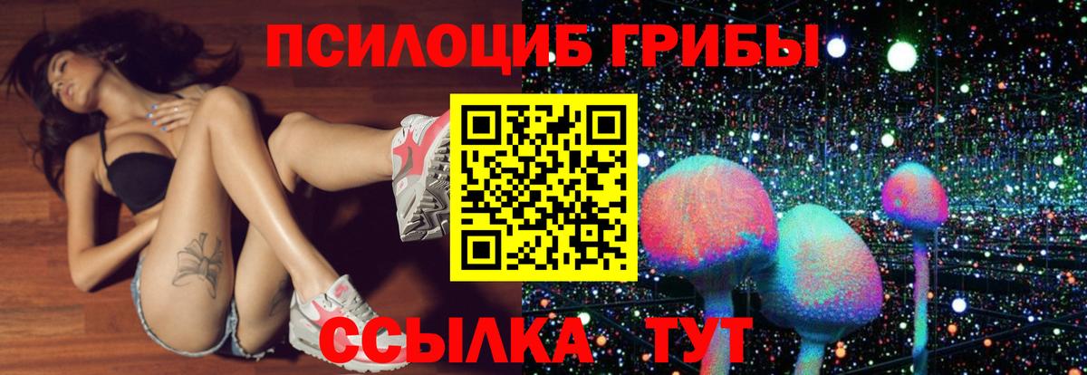 Галлюциногенные грибы Cubensis  Вход с VPN  Армавир 